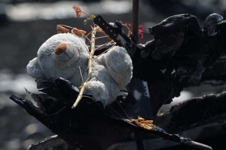 Детская игрушка среди обломков "боинга" Malaysian Airlines, сбитого в июле 2014 года над Донбассом. Фото RIA Novosti/Scanpix