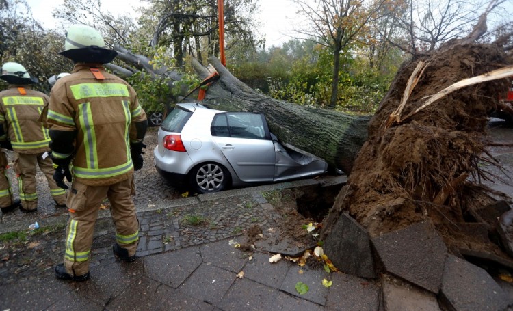 Firefighters are pictured next to a car damaged by a tree during stormy weather caused by storm called "Herwart" in Berlin, Germany, October 29, 2017.     REUTERS/Fabrizio Bensch