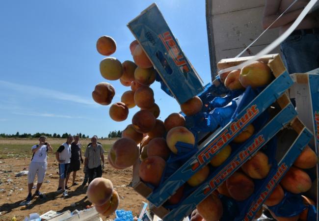 Уничтожение санкционных персиков недалеко от города Новозыбков 7 августа 2015 года. Фото AFP/Scanpix