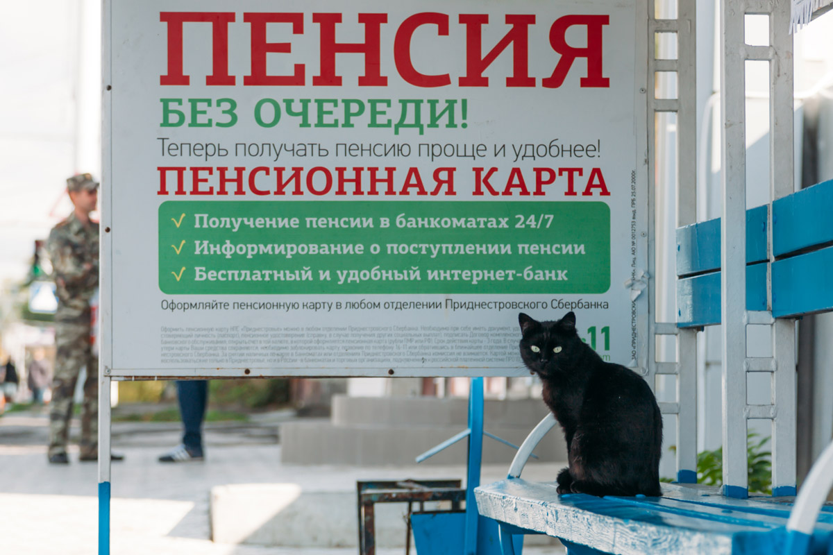 Реклама, одобренная котом. Фото Валерия Кругликова