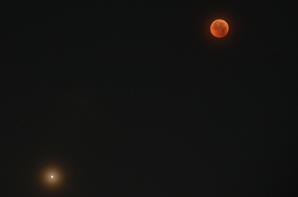 Одновременно с лунным затмением, можно было наблюдать и небывало яркий Марс. Фото AFP/Scanpix/Leta