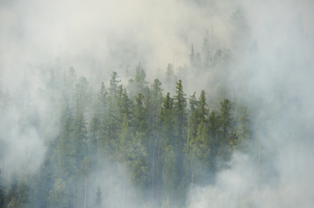 Лесные пожары. Фото Sputnik/Scanpix/Leta