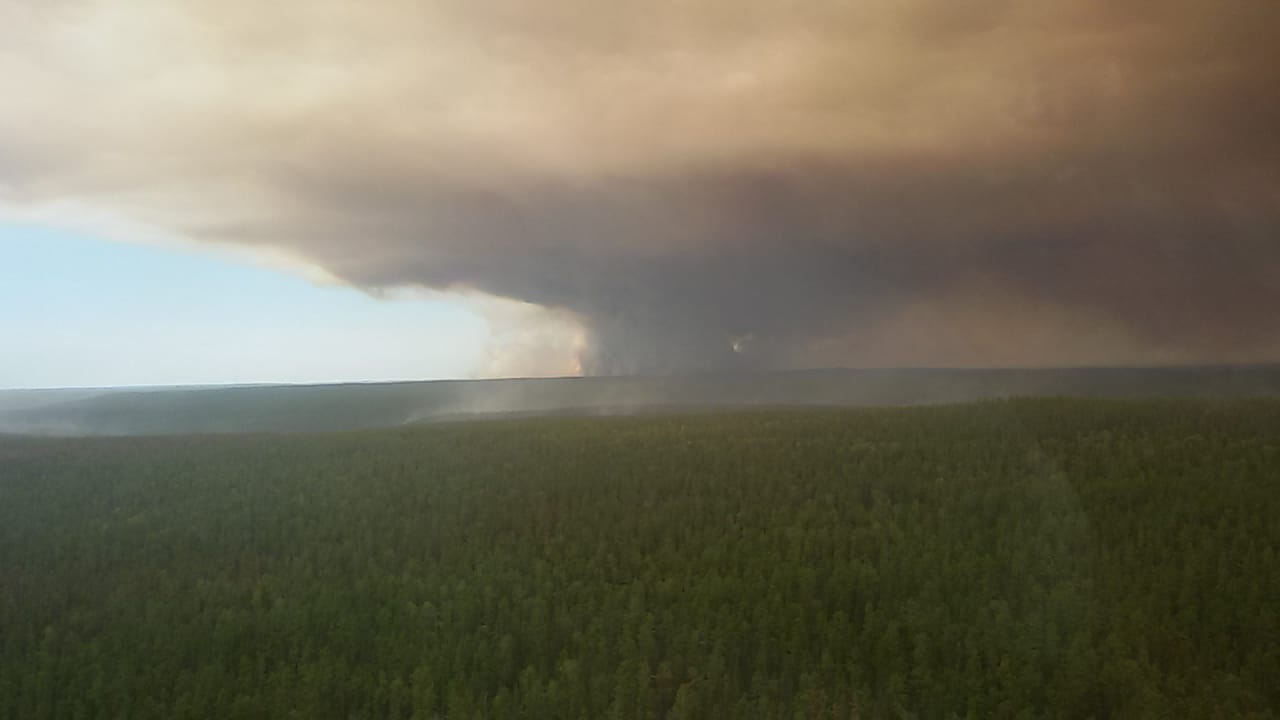 Огромные клубы дыма над лесным пожаром в августе-сентябре 2019 года. Фото Владимира Васильева для Spektr.Press