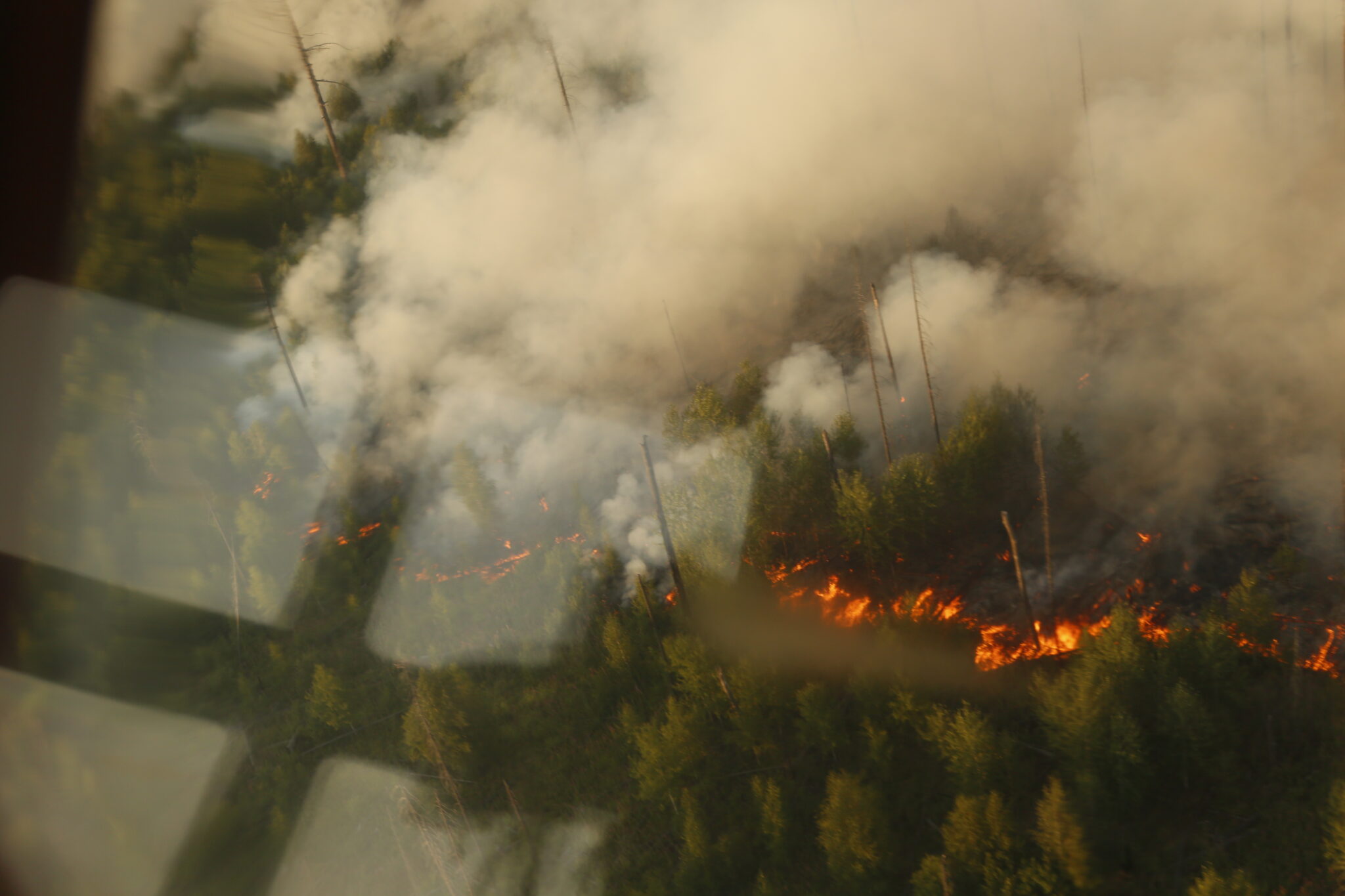 Лесной пожар в Сибири, август-сентябрь 2019 года. Фото Татьяны Вишневской для Spektr.Press