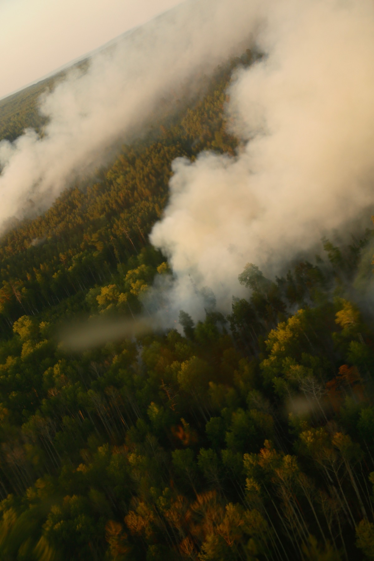 Особенно тяжелой ситуация с лесными пожарами была в Красноярском крае, август-сентябрь 2019 года. Фото Татьяны Вишневской для Spektr.Press