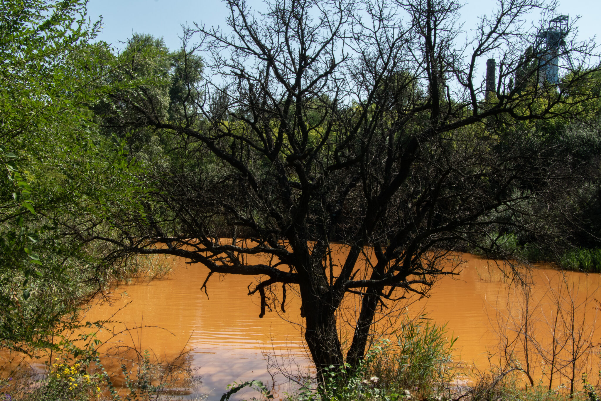 Оранжевая вода из шахты «Золотое» в Луганской области. Фото DELFI
