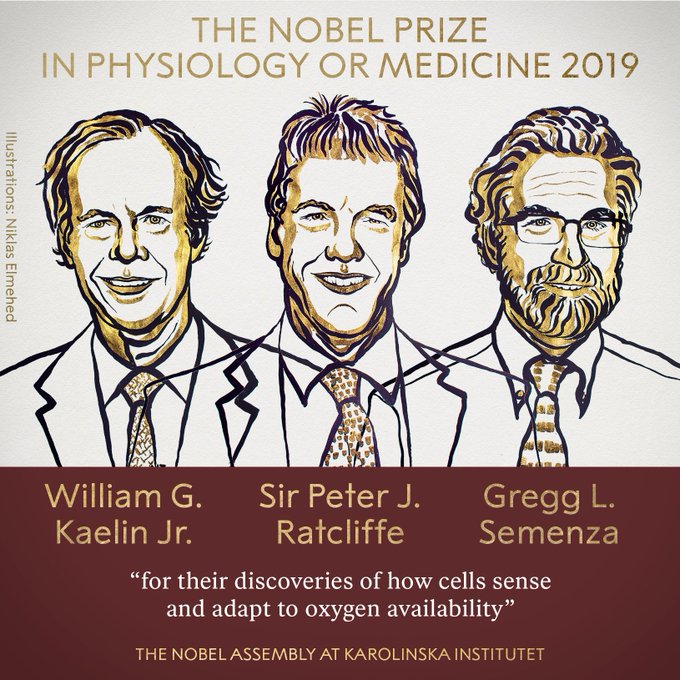 Нобелевские лауреаты в сфере медицины