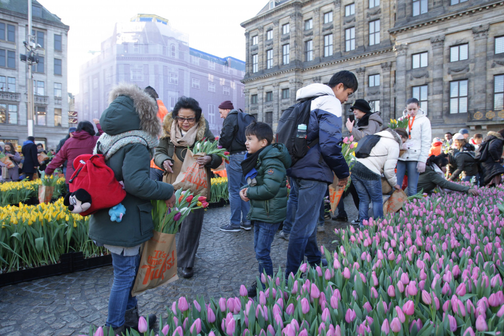 Национальный день тюльпанов в Амстердаме. Фото: Paulo Amorim / TASS / Scanpix / Leta