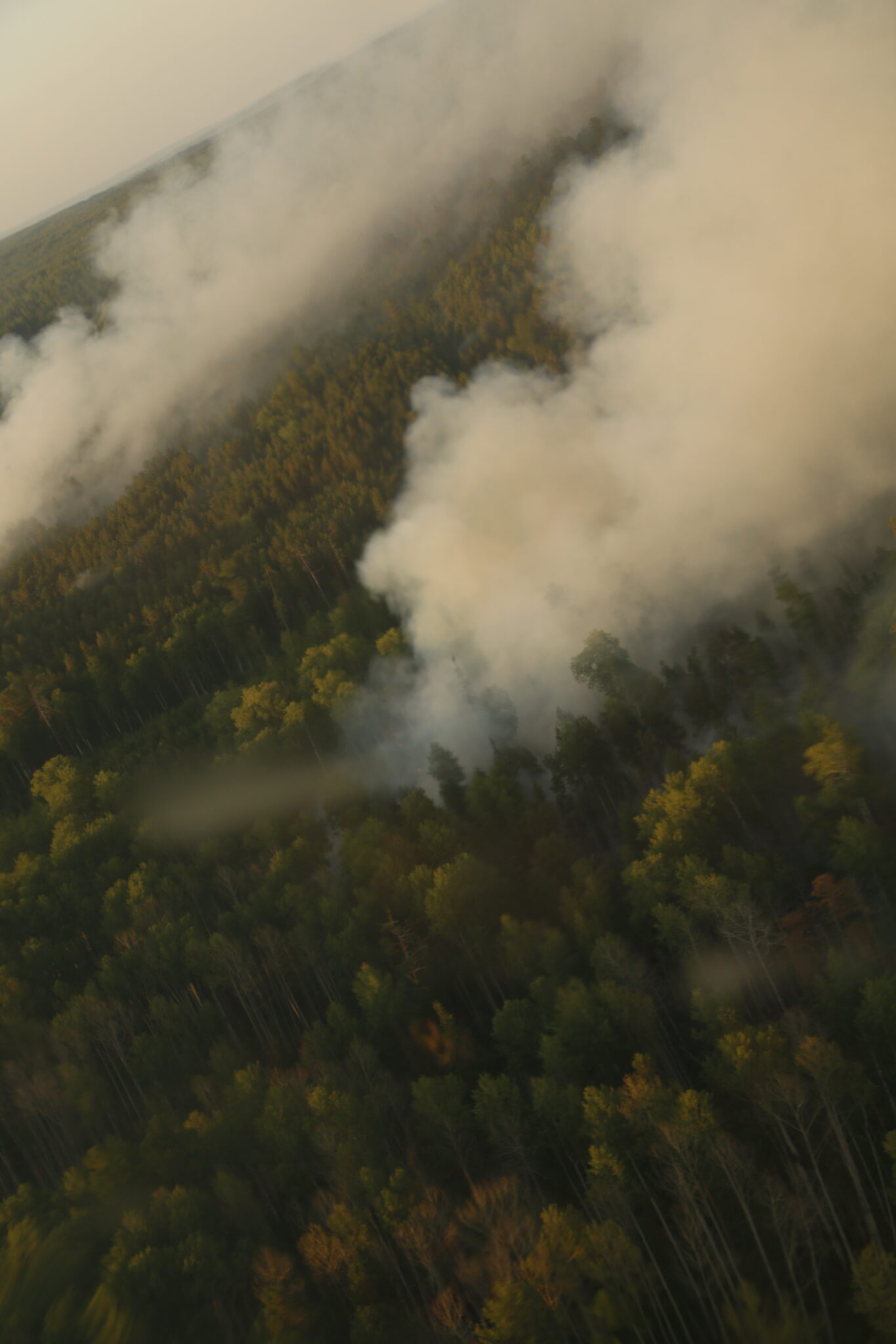 Лесной пожар. Фото Татьяны Вишневской для Spektr.Press