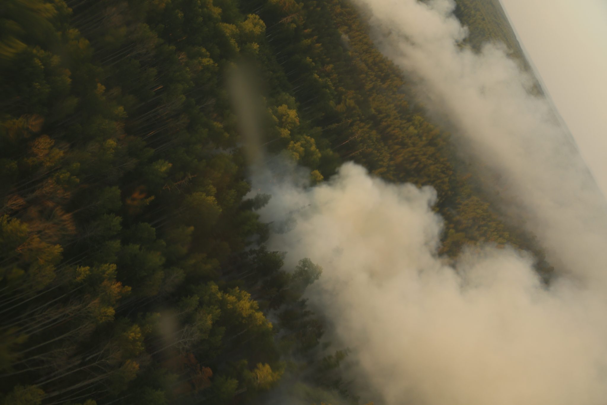 Лесной пожар. Фото Татьяны Вишневской для Spektr.Press