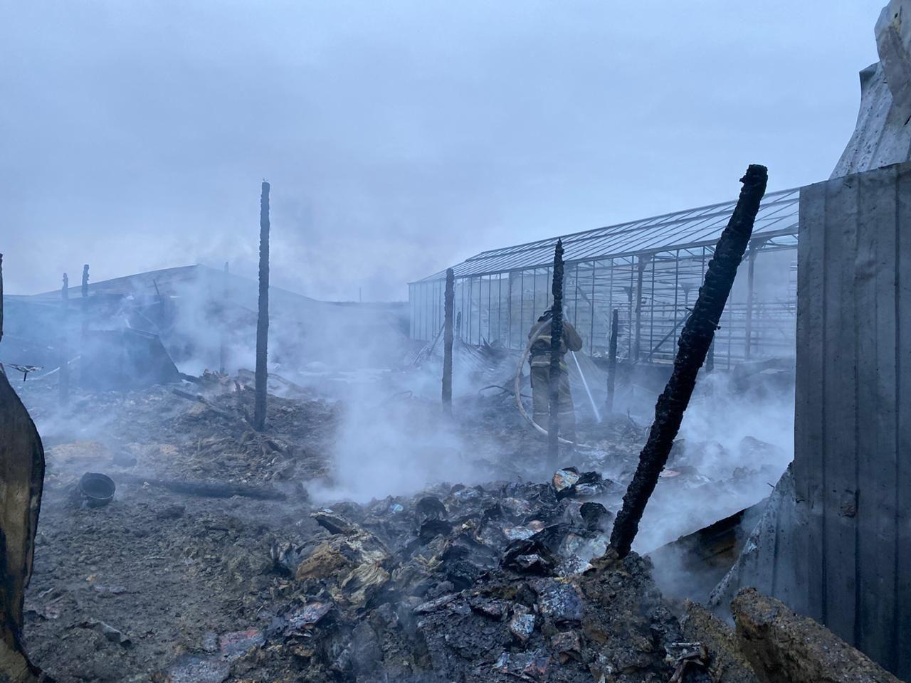 Пожар в Раменском. Фото: МЧС РФ