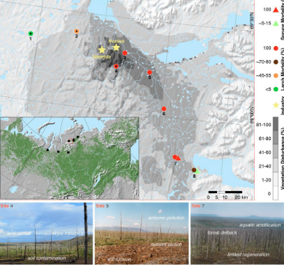 Карта из исследования с отмеченными местами гибели лесов. Ecology Letters