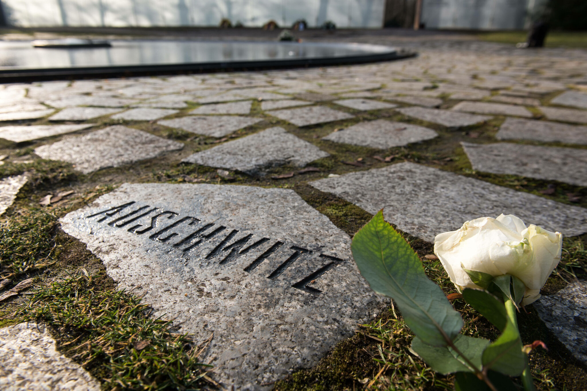 Камень в память о холокосте. Фото Christian Spicker via www.imago-images.de / TASS / Scanpix / Leta 