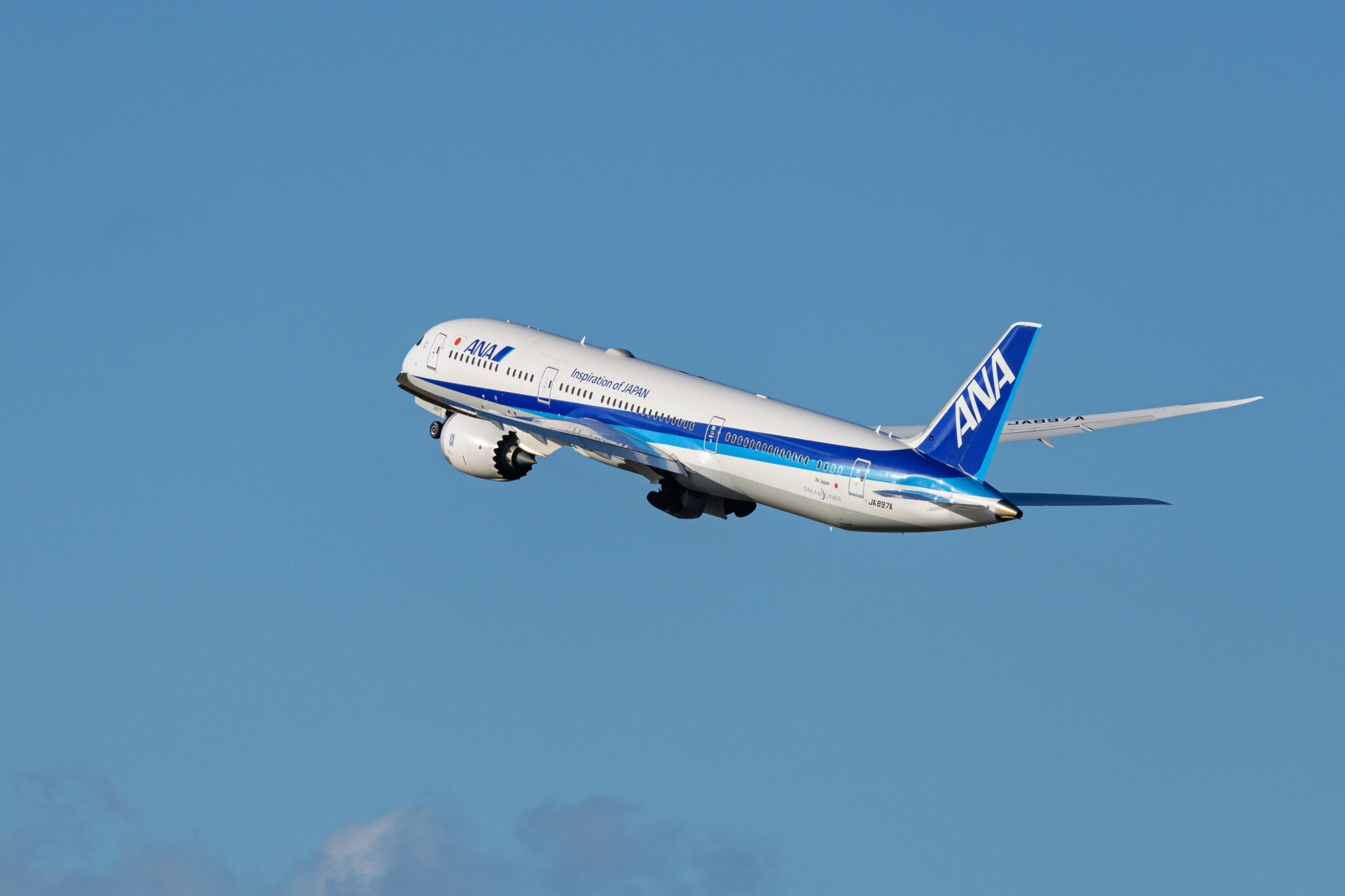 Boeing Dreamliner 787 авиакомпании All Nippon Airways. Фото Bayne Stanley / TASS / Scanpix / Leta