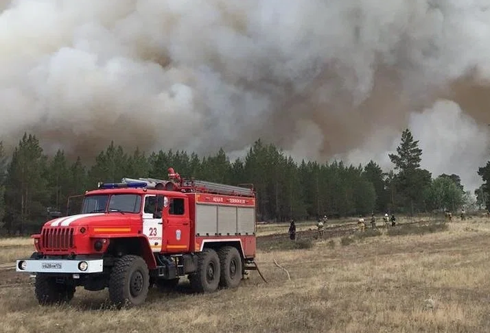 Лесной пожар. Фото пресс-службы МЧС России