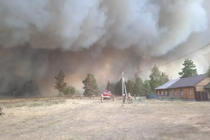 Лесной пожар в Челябинской области. Фото пресс-службы МЧС России