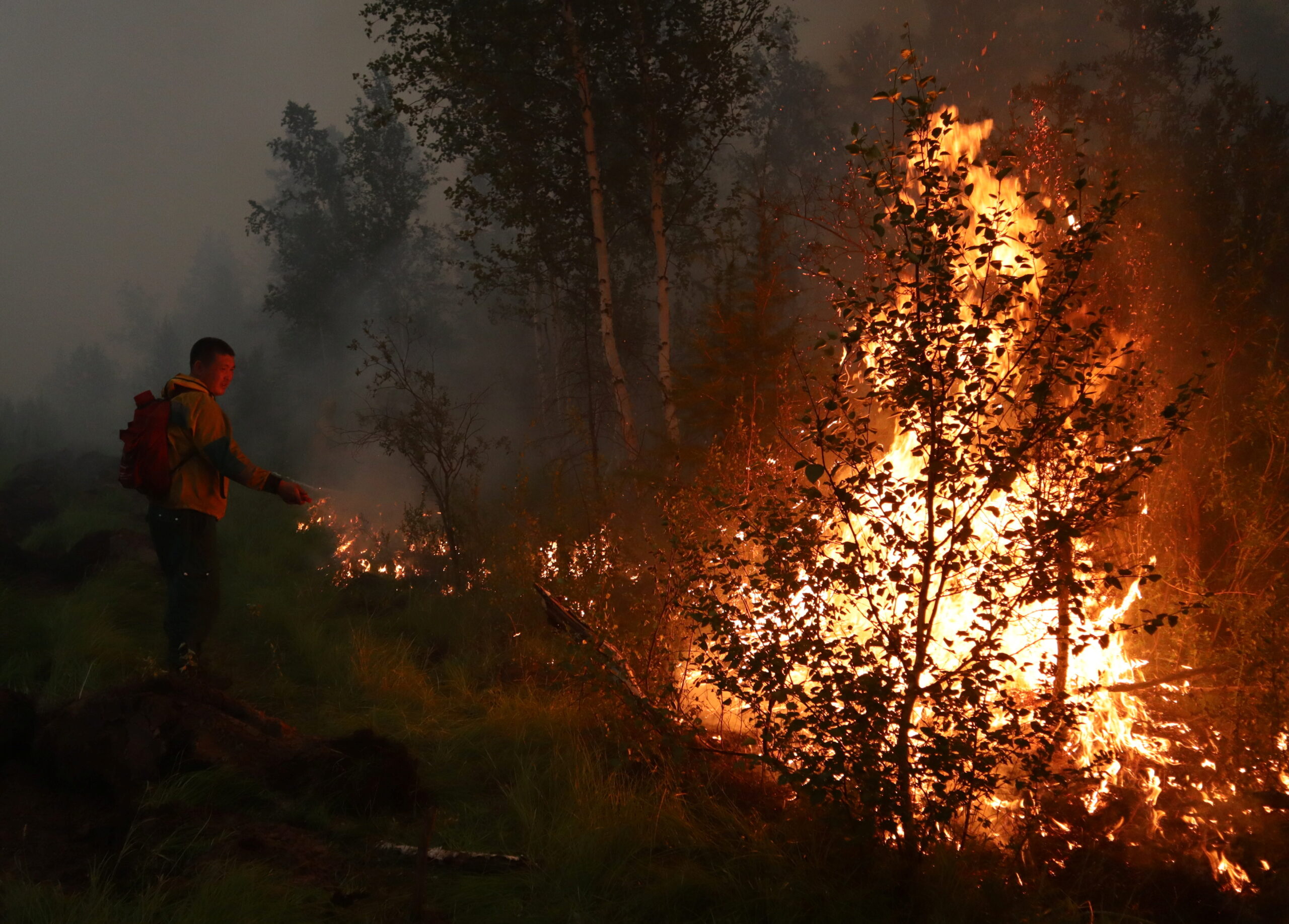 Сильные пожары в россии. Пожары в Якутии 2021. Лесные пожары. Лесной пожар фото. Лесные пожары в России (2021).