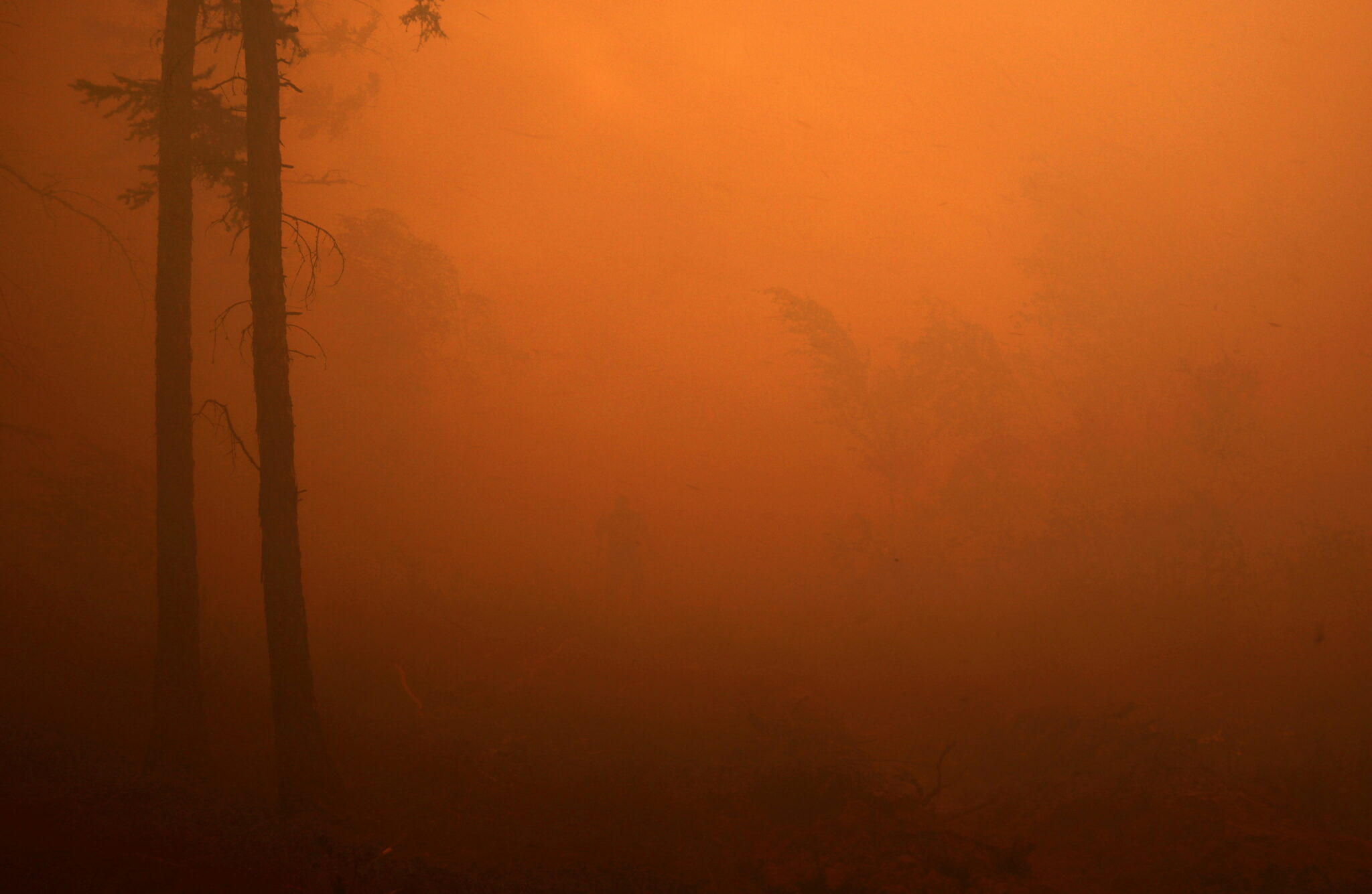 Лесные пожары в Якутии. Фото  REUTERS/Roman Kutukov/Scanpix/Leta