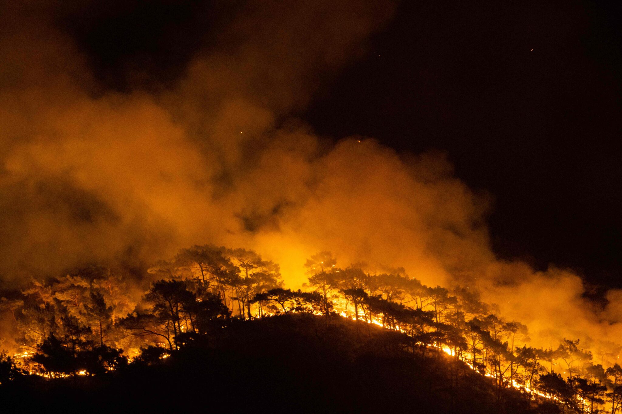 Лесные пожары в Турции. Фото  Yasin AKGUL / AFP/Scanpix/Leta