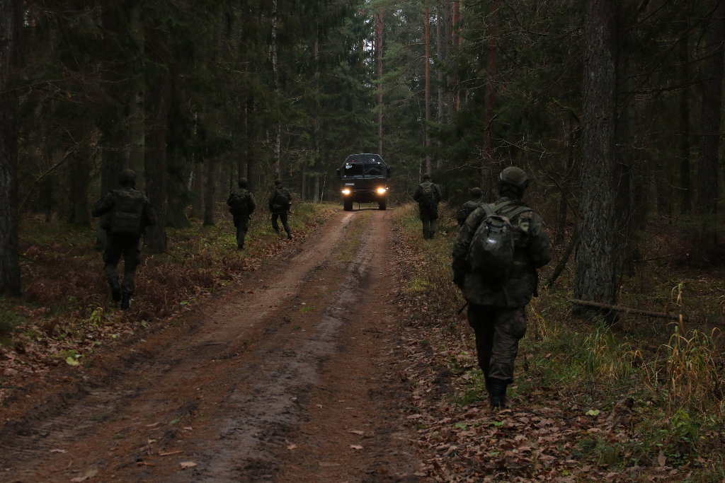 Польские военные на границе с Беларусью. Фото: пресс-служба Войск территориальной обороны Польши/@terytorialsi/Twitter