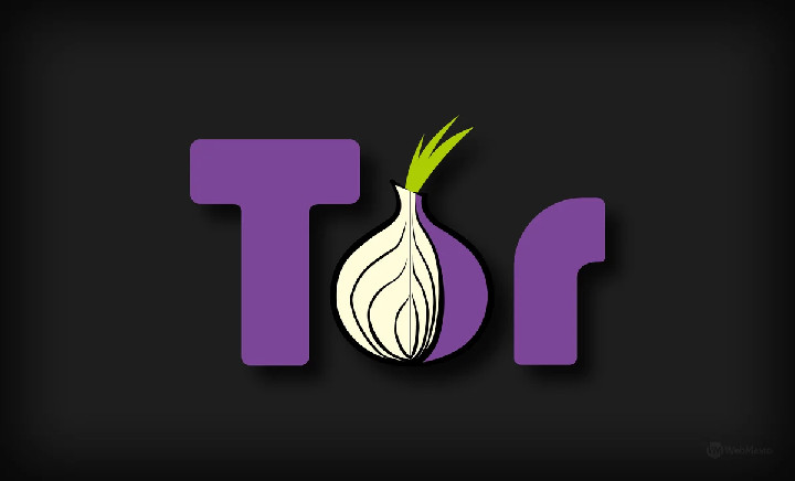 Логотип проекта Tor