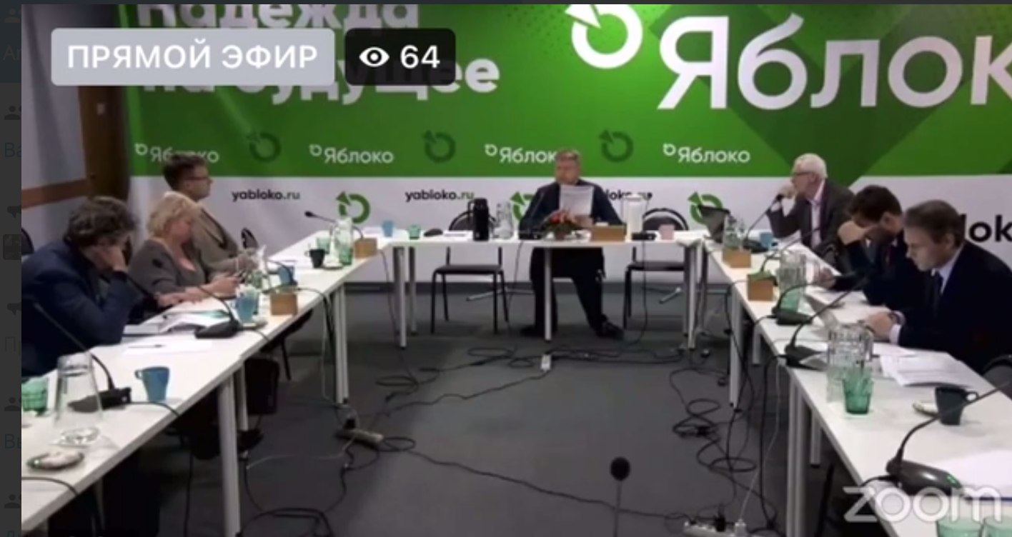 Заседание федерального бюро партии «Яблоко» 28 декабря. Скриншот из Facebook Елены Русаковой