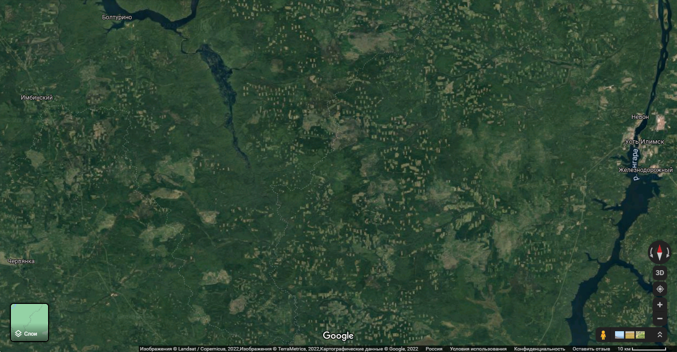 Вырубки в Сибири. Скриншот Google Maps