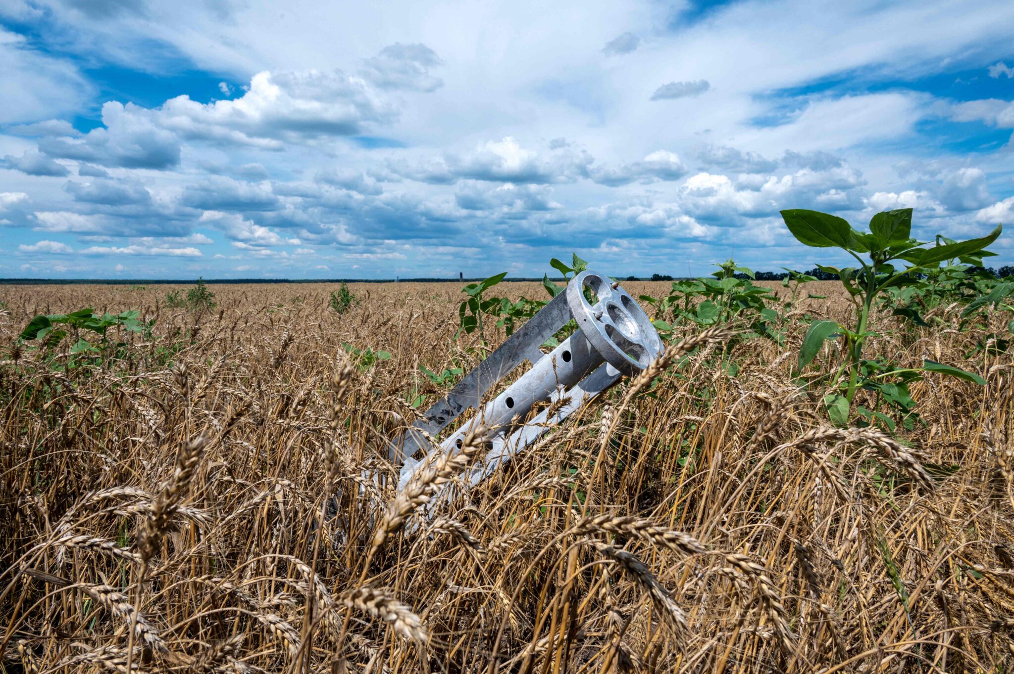 Фрагмент ракеты на пшеничном поле, Харьковская область. 19 июля 2022 года. Фото SERGEY BOBOK/AFP/Scanpix/LETA 

