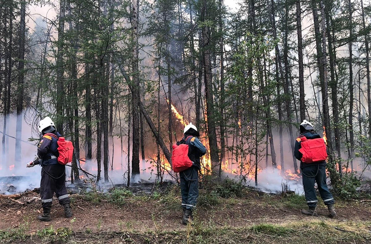 МЧС России тушат лесной пожар. Фото МЧС РОССИИ / AFP / Scanpix / Leta