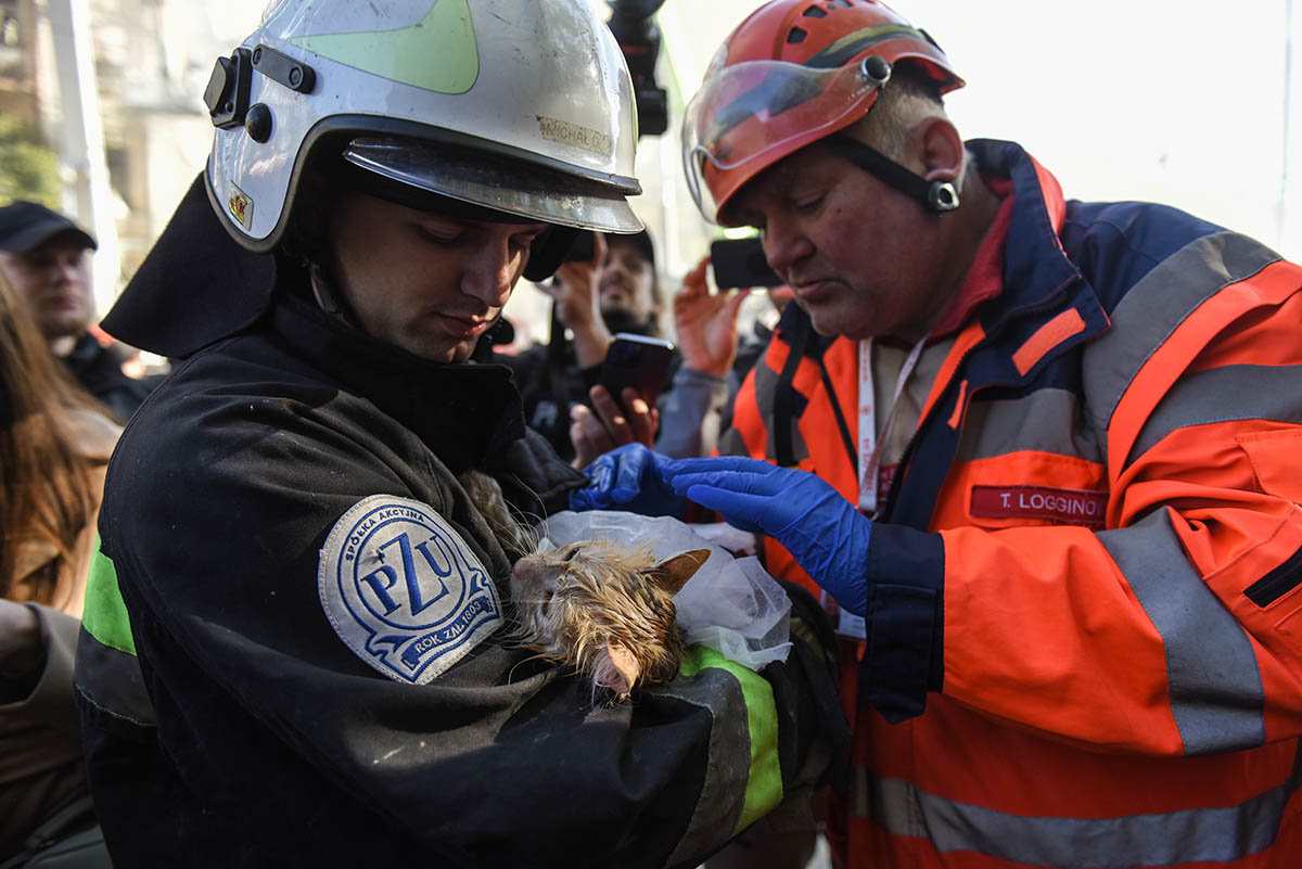 Украинские спасатели достали кошку из жилого дома, разрушенного в результате атаки российского беспилотника в центре Киева, Украина. 17 октября 2022 года. Фото OLEG PETRASYUK/EPA/Scanpix/Leta