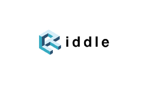 Логотип литовского аналитического центра Riddle 