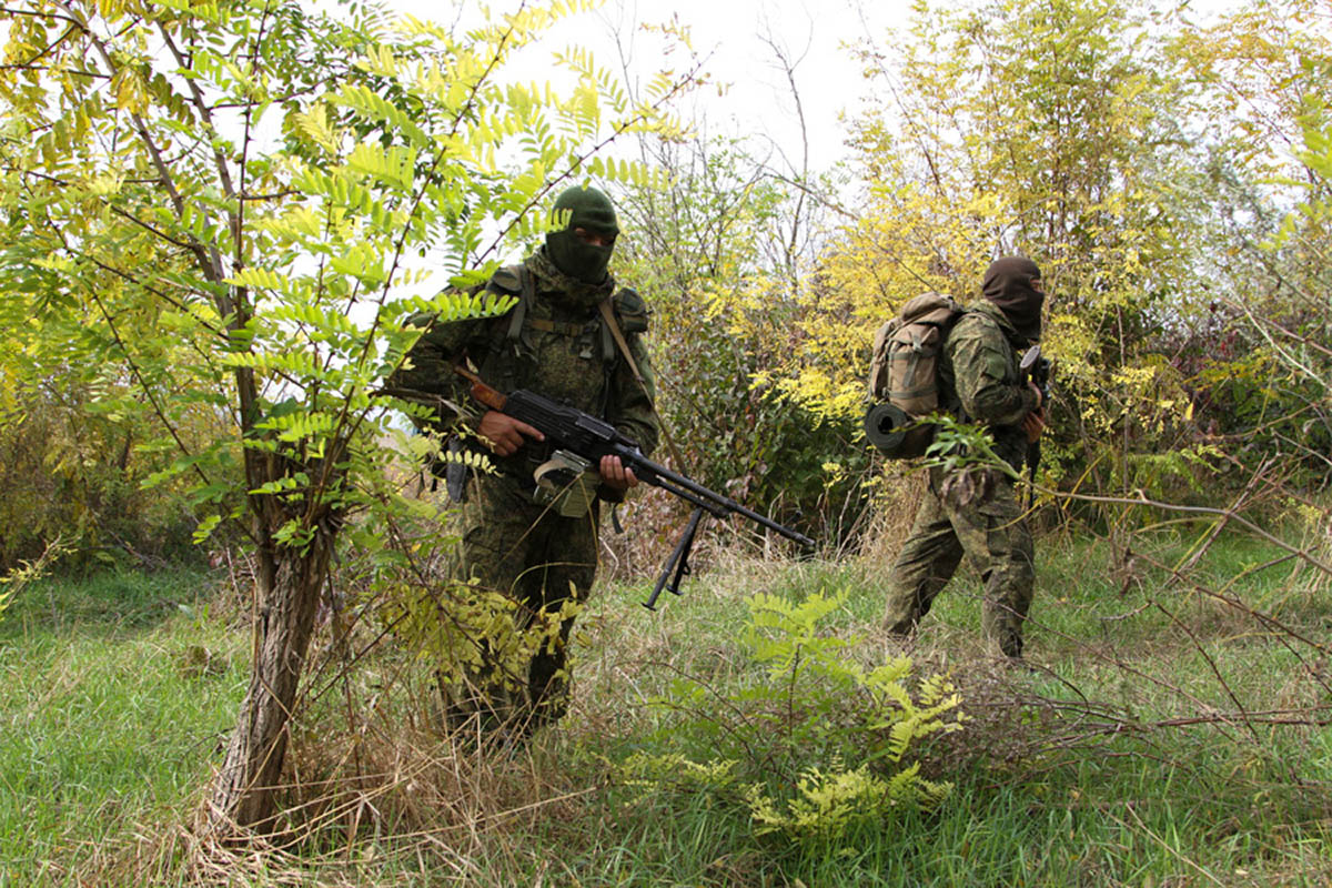 Военная разведка России в лесу