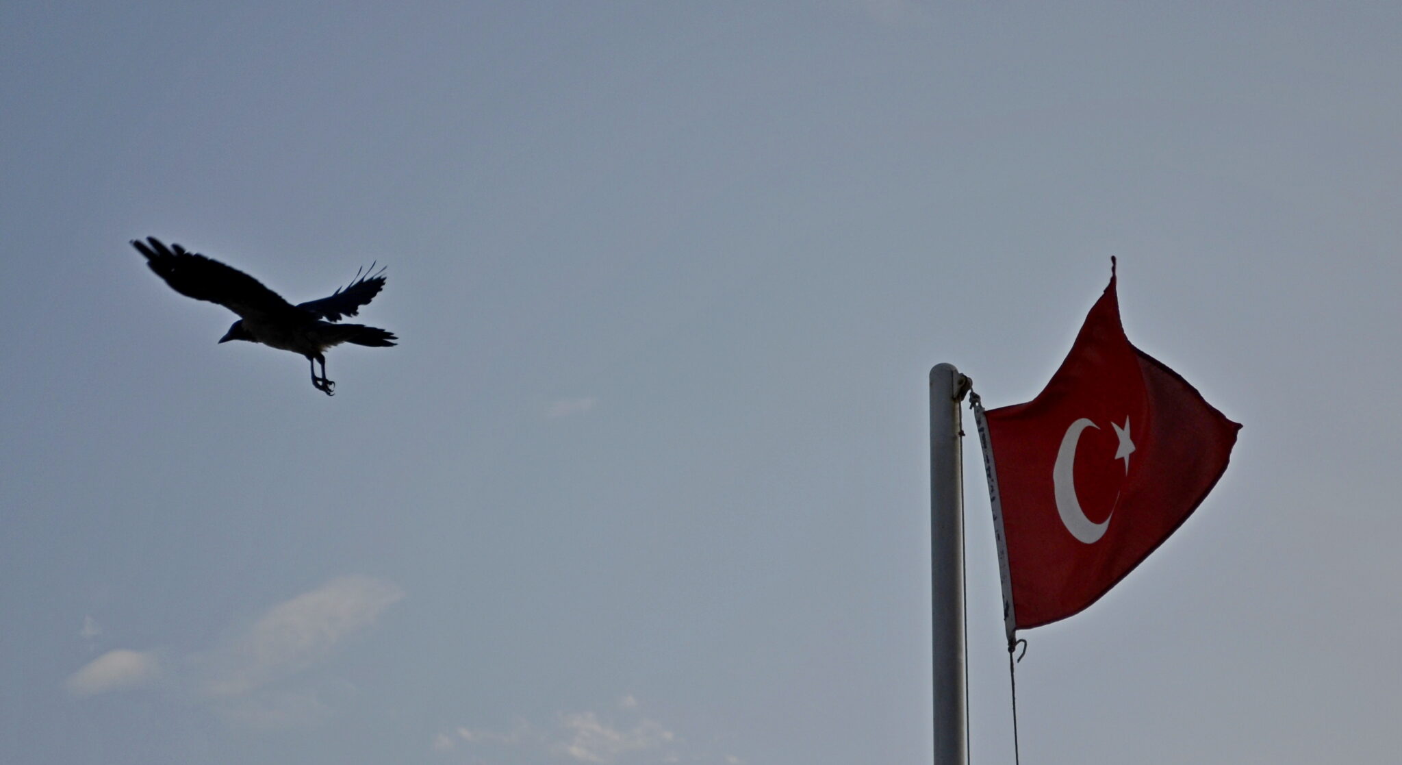 Флаг Турции. Фото Daniil Bolshakov/SpektrPress