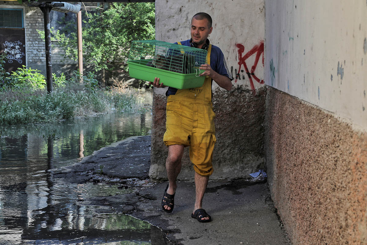 Местный житель спасает кошек из затопленного здания в Новой Каховке, Херсон. Фото REUTERS/Scanpix/Leta