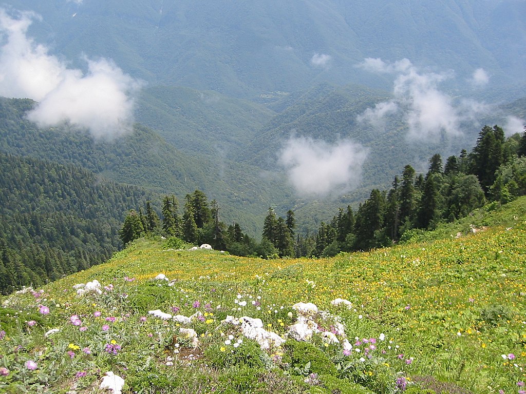 Гагрский хребет в Абхазии. Фото Wikipedia.org