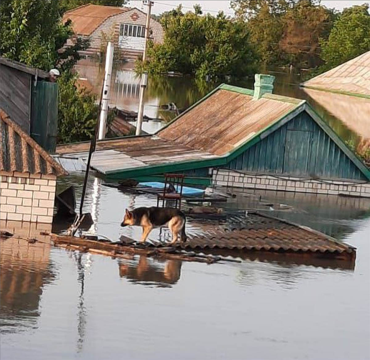 Наводнение в городе Олешки. Фото Ольга Ившина/Instagram
