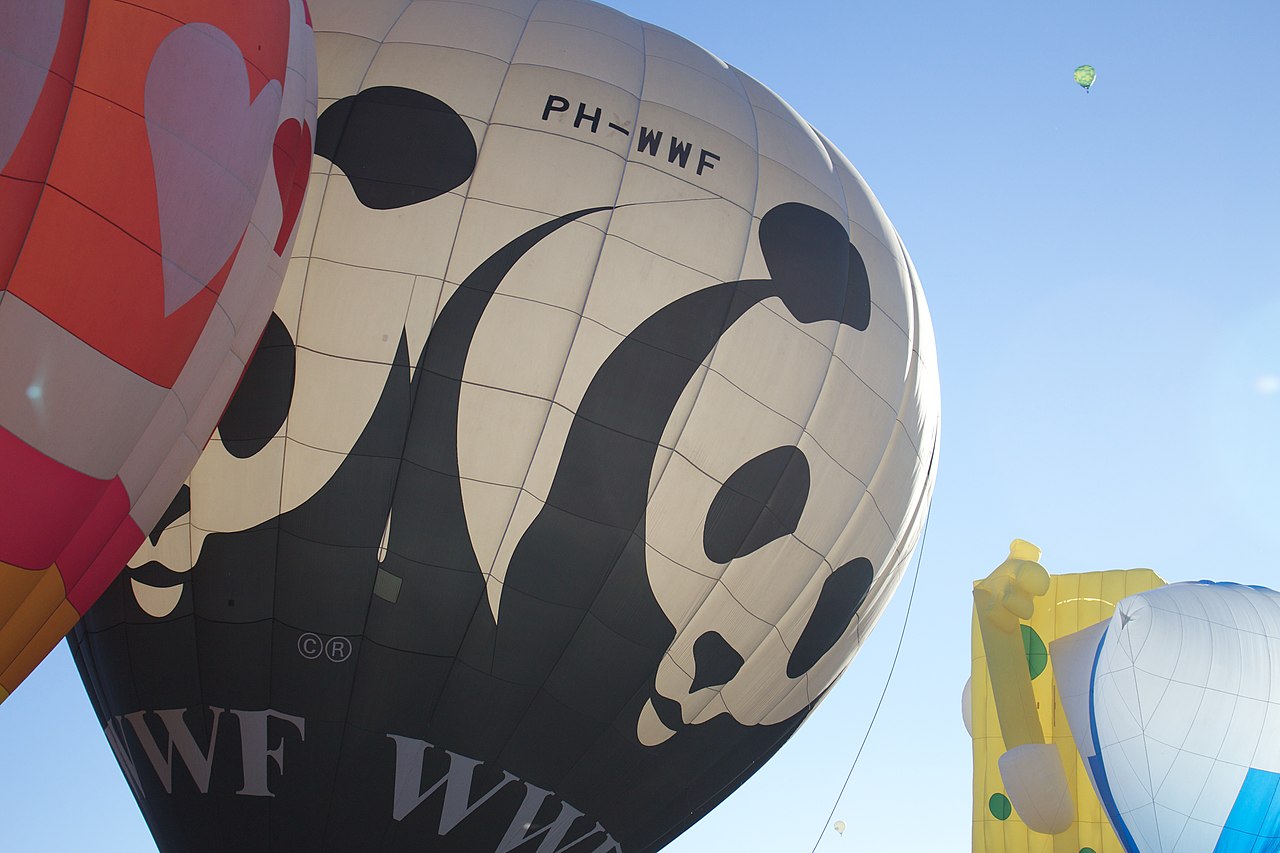 Воздушный шар с логотипом Всемирного фонда дикой природы (WWF). Фото wikipedia.org