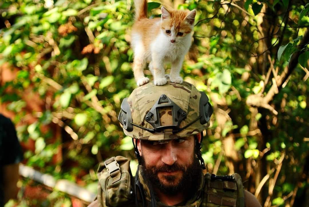 Военнослужащий теробороны Украины. Фото пресс-службы  127-й отдельной бригады ТО ВСУ