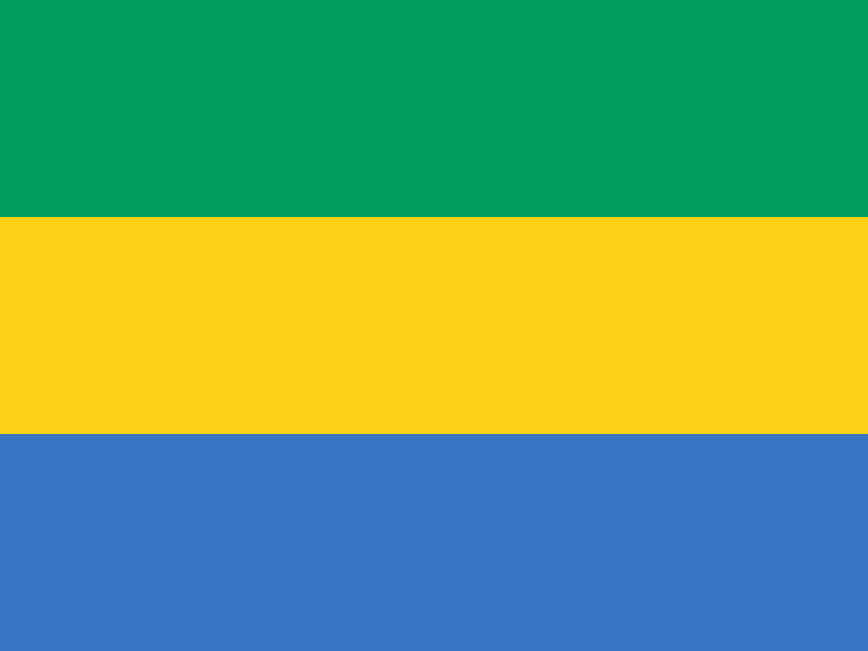 Флаг Габона. Фото Википедии