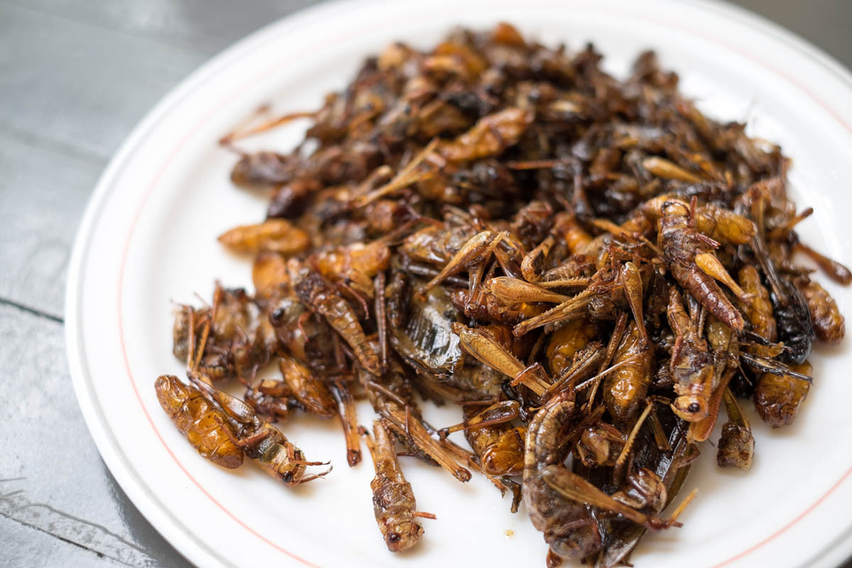 Блюдо с жареными насекомыми. Фото structuresxx/Istockphoto
