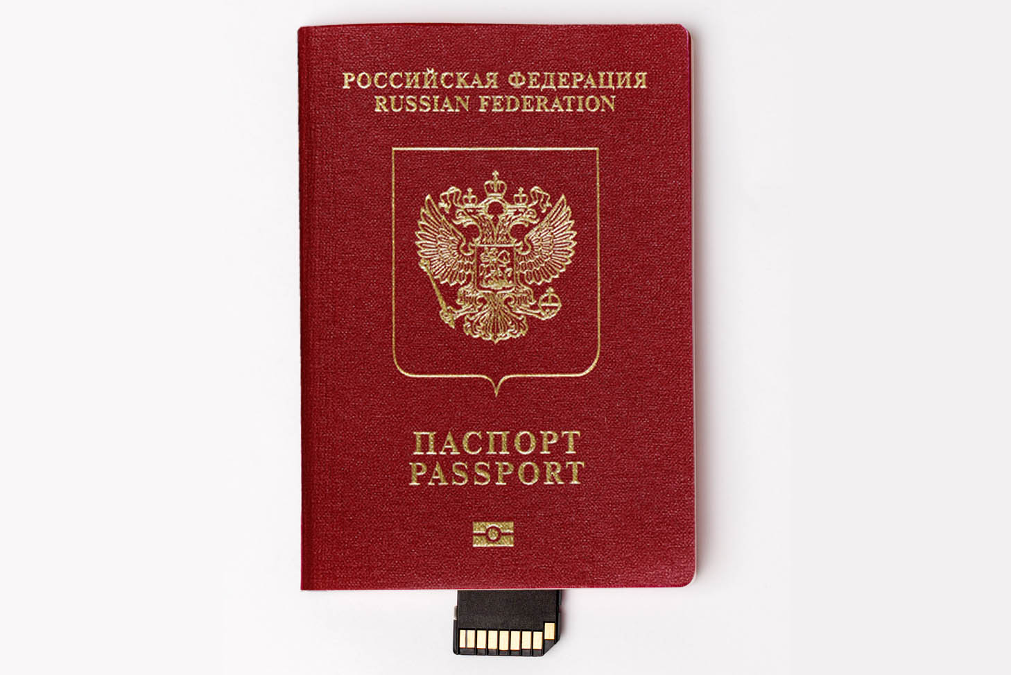 Паспорт РФ и сим-карта. Фото Mikhail Azarov/Istockphoto