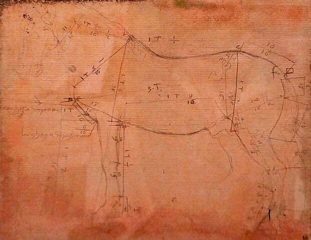 Леонардо да Винчи. Пропорции фигуры лошади / Wikimedia