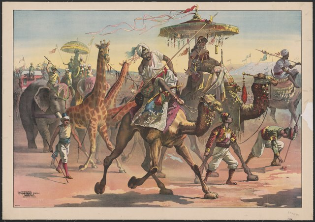 "Цирковая труппа с жирафами, слонами и  верблюдами", 1890 / Spektr.Press