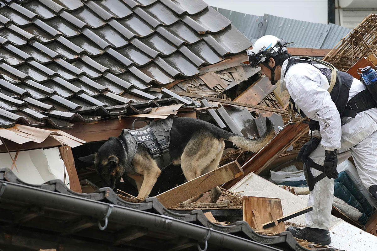 Полицейский с собакой обыскивают обрушившийся дом после землетрясения в Вадзиме, префектура Исикава, Япония,3 января 2024 года.. Фото AP /Scanpix/LETA