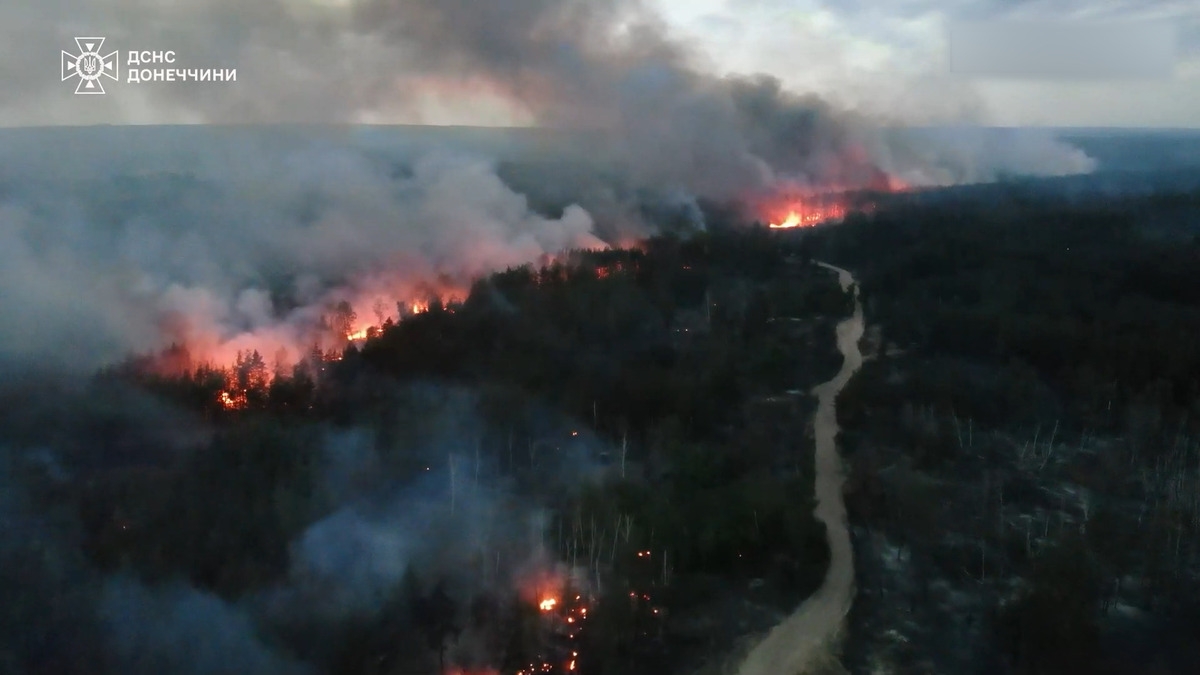 Лесные пожары из-за российских обстрелов. Фото: ГСЧС Донецкой области