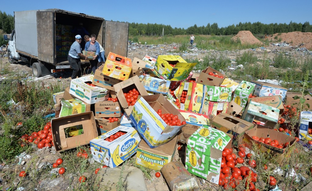2675187 08/06/2015 Banned tomatoes confiscated at the Russia-Belarus border are destroyed at the landfill near Gusino, Smolensk Region. Viktor Tolochko/RIA Novosti