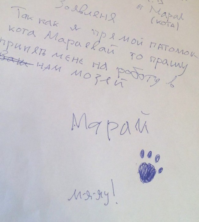 Заявление кота Марая о приеме на работу Фото: http://serpuhov-museum.ru/