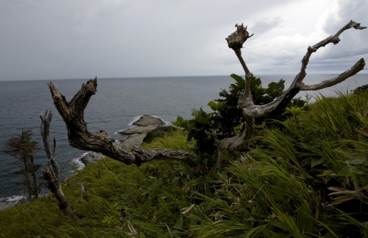 A dead tree stands at a cliff overlooking the Okhotsk Sea outside Yuzhno-Kurilsk, the main settlement on the Southern Kurile Island of Kunashir September 16, 2015. Russian residents of the island chain at the centre of a dispute between Japan and Russia that has held up a treaty to formally end World War Two hope a diplomatic solution will lure tourists and investment to help refurbish rickety infrastructure. The Southern Kuriles are referred to in Japan as the Northern Territories. Picture taken September 16, 2015. REUTERS/Thomas Peter