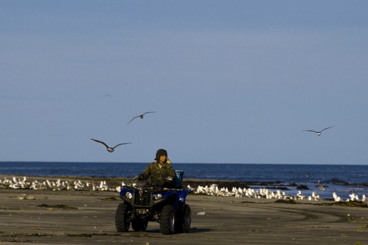A man drives a quad-bike at a beach outside Yuzhno-Kurilsk, the main settlement on the Southern Kurile Island of Kunashir September 14, 2015. Russian residents of the island chain at the centre of a dispute between Japan and Russia that has held up a treaty to formally end World War Two hope a diplomatic solution will lure tourists and investment to help refurbish rickety infrastructure. The Southern Kuriles are referred to in Japan as the Northern Territories. Picture taken September 14, 2015. REUTERS/Thomas Peter