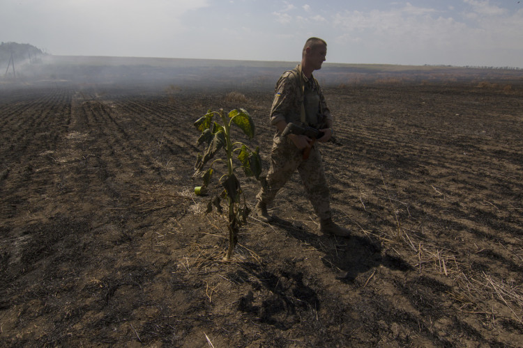 Сожженные в результате боевых действий в прошлом году поля. Фото Сергея  Ваганова для «Спектра».